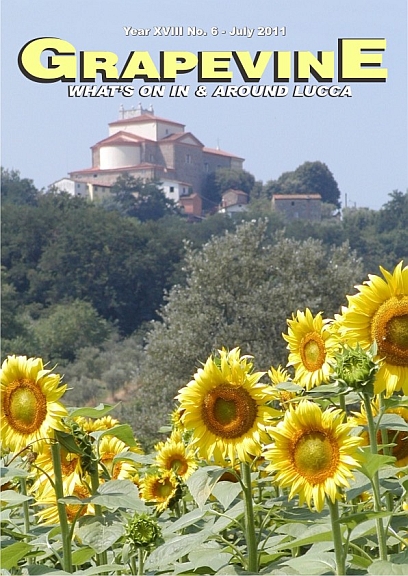Sunflowers in the Compitese by Susan Jarman