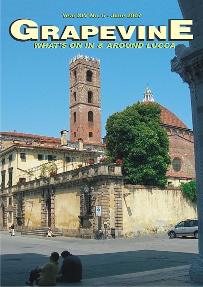 Lucca, Piazza San Martino