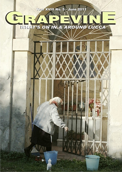 Weekly_Cleaning by Denise Perry