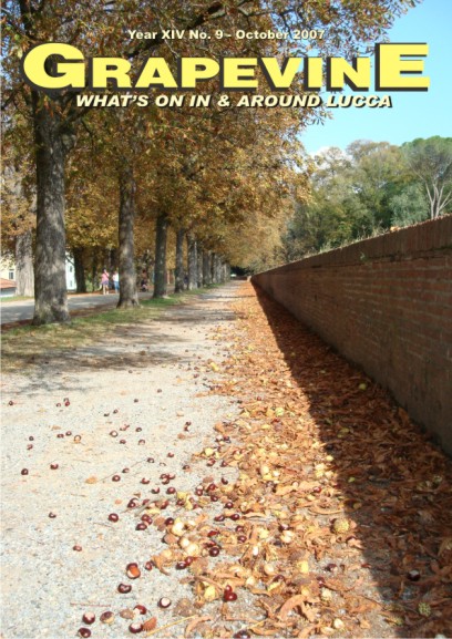 Lucca, the Walls